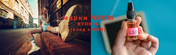 прущие грибы Алзамай